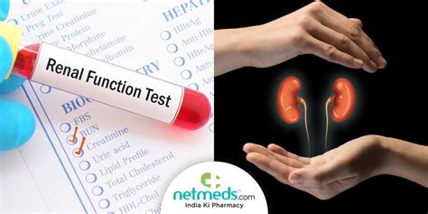 kidney blood test results borderline|Renal Function Tests .